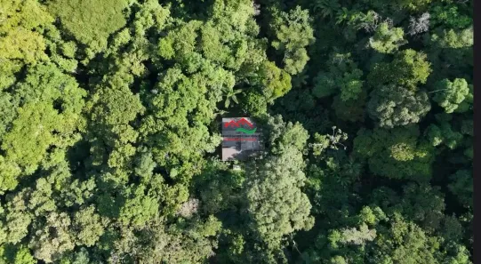 Fazenda/Sítio com 5 Quartos à venda, 65000m² no , Pedro de Toledo