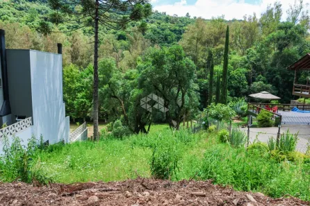 Lote/Terreno à venda, 1029m² no Linha 40, Caxias do Sul