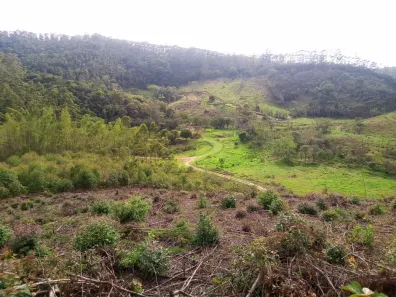 Fazenda/Sítio com 1 Quarto à venda, 7m² no , Paraibuna