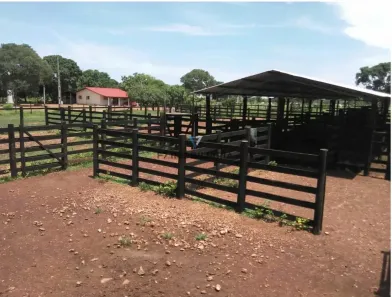 Fazenda/Sítio com 4 Quartos à venda, 200m² no , Sandolândia