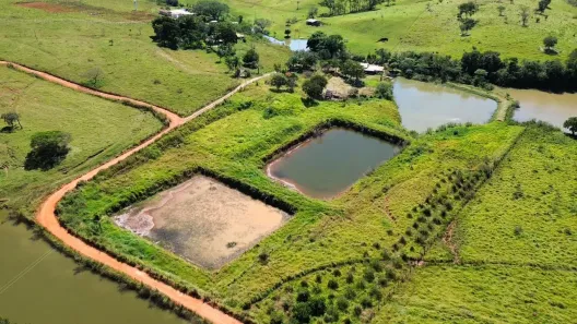 Fazenda/Sítio com 3 Quartos à venda, 30000m² no , Ouro Verde de Goiás