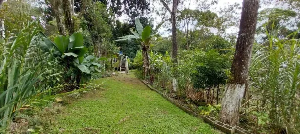 Fazenda/Sítio com 2 Quartos à venda, 1092m² no São Sebastião, Palhoça