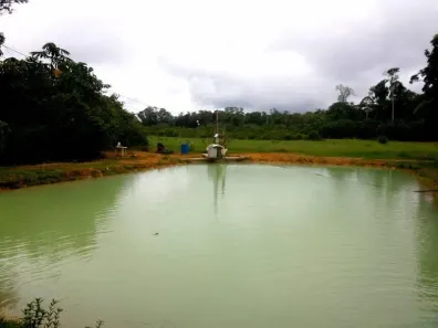 Fazenda/Sítio com 4 Quartos à venda, 144m² no Centro, Presidente Figueiredo