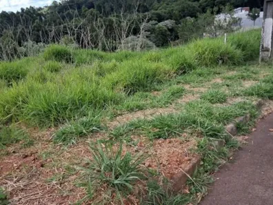Lote/Terreno com 1 Quarto à venda, 364m² no Monte Belo, Chapecó