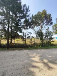 Lote/Terreno à venda, 734m² no Roseira de São Sebastião, São José dos Pinhais