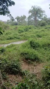Fazenda/Sítio à venda, 7800000m² no , Chapadinha