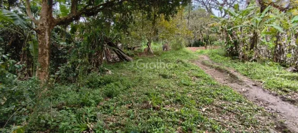 Lote/Terreno à venda, 6284m² no Pantanal, Florianópolis