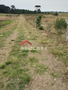 Lote/Terreno à venda, 48000m² no Colônia Murici, São José dos Pinhais