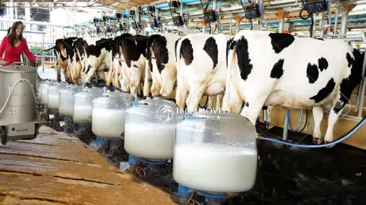 Fazenda/Sítio à venda, 9030000m² no Barreirinhas, Barreiras