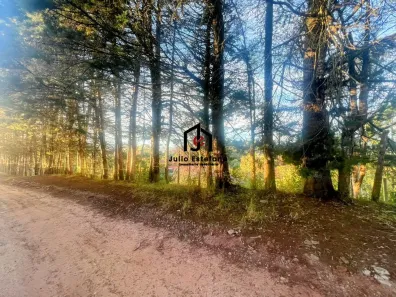 Lote/Terreno à venda, 1350m² no Recanto das Araucárias, Campos do Jordão