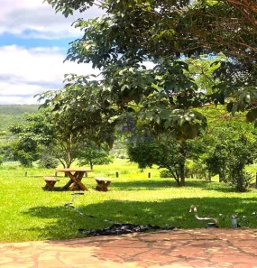 Fazenda/Sítio à venda, 570000m² no Coronel Octaviano Alves, Lençóis