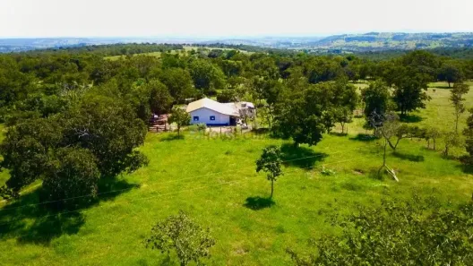 Fazenda/Sítio com 3 Quartos à venda, 90m² no , Amorinópolis