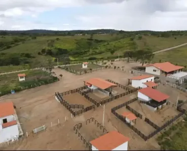 Fazenda/Sítio com 3 Quartos à venda, 300m² no , Bezerros