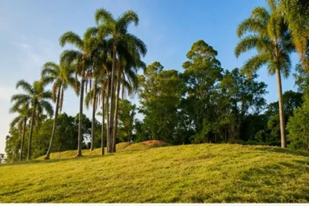 Lote/Terreno à venda, 1162m² no Vale dos Pinheiros, Garibaldi