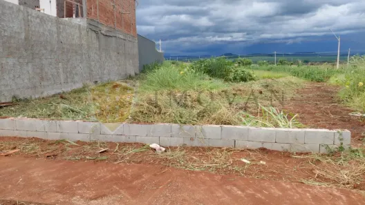 Lote/Terreno à venda, 299m² no Jardim Regatas, Ribeirão Preto