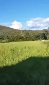 Fazenda/Sítio à venda, 3550000m² no Bezerra, Formosa