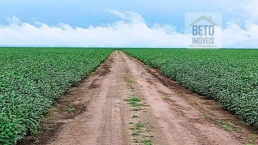 Fazenda/Sítio à venda, 217500000m² no , São Félix de Balsas