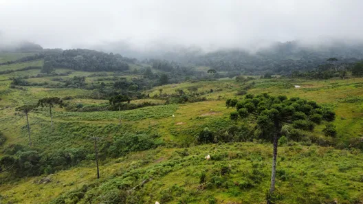 Fazenda/Sítio à venda, 910000m² no , Bocaina do Sul