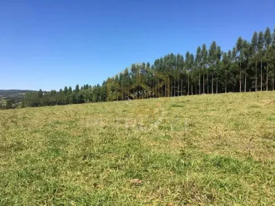 Lote/Terreno à venda, 4000m² no Sousas, Campinas