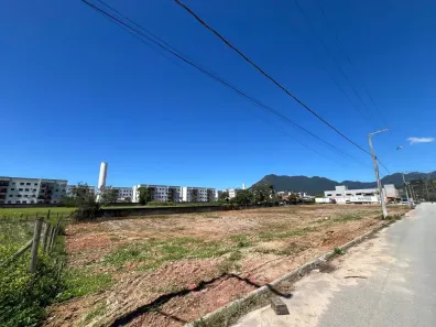 Lote/Terreno à venda, 1256m² no Aririú, Palhoça