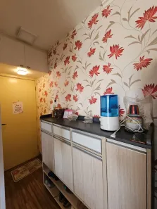 Apartamento com 2 Quartos à venda, 49m² no Barra Funda, São Paulo