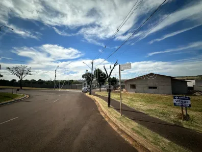 Lote/Terreno à venda, 394m² no Loteamento Santa Marta, Ribeirão Preto