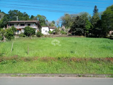 Lote/Terreno à venda, 704m² no Nova Petrópolis, Nova Petrópolis