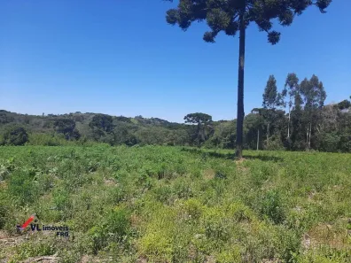 Fazenda/Sítio à venda, 36000m² no , Mandirituba