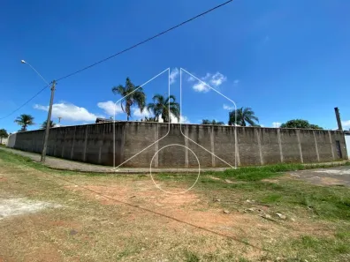 Lote/Terreno para alugar, 803m² no Senador Salgado Filho, Marília