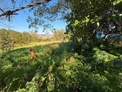 Lote/Terreno à venda, 1458m² no Vila Mazzei, Itapetininga