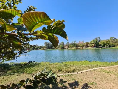 Fazenda/Sítio com 2 Quartos à venda, 360m² no Chácara Letônia, Americana