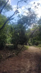 Lote/Terreno à venda, 4700m² no Serra Grande, Niterói