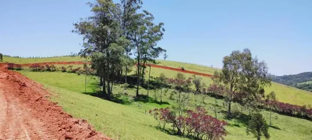 Fazenda/Sítio à venda, 1000m² no Centro, Mairiporã