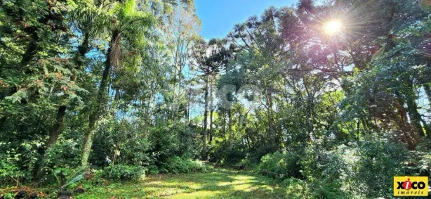 Lote/Terreno à venda, 5000m² no Nova Petrópolis, Nova Petrópolis