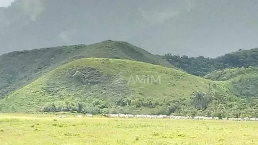 Fazenda/Sítio à venda, 402m² no Casimiro de Abreu, Casimiro de Abreu