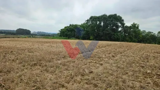 Lote/Terreno à venda, 67700m² no Guajuvira, Araucária