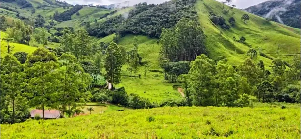 Fazenda/Sítio à venda, 5000m² no , Delfim Moreira