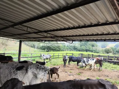Fazenda/Sítio com 3 Quartos à venda, 170000m² no Papucaia, Cachoeiras de Macacu