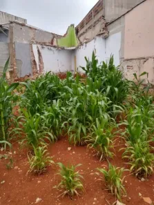 Lote/Terreno com 1 Quarto à venda, 272m² no Alto da Mooca, São Paulo