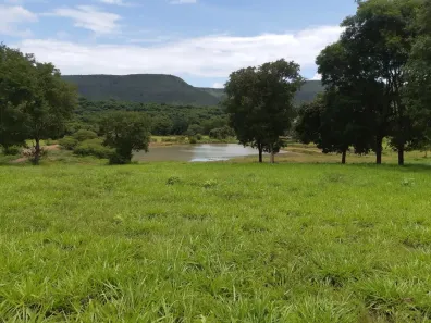 Fazenda/Sítio com 3 Quartos à venda, 280m² no Setor Central, Goiânia
