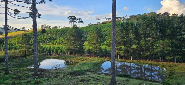 Fazenda/Sítio com 2 Quartos à venda, 9200m² no , Tijucas do Sul