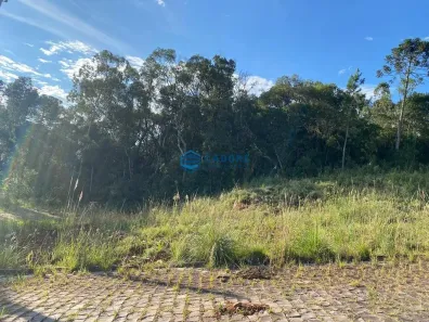 Lote/Terreno à venda, 300m² no Parada Cristal, Caxias do Sul