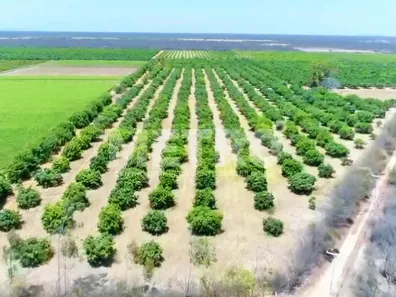 Fazenda/Sítio à venda, 120000m² no , Casa Nova