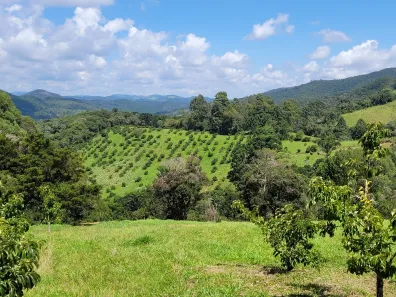 Fazenda/Sítio à venda, 80000m² no , Sapucaí-Mirim
