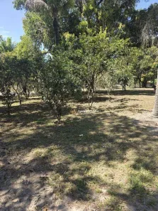 Lote/Terreno à venda, 52000m² no Funchal, Cachoeiras de Macacu