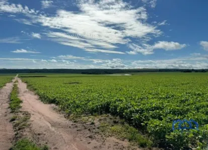 Fazenda/Sítio com 1 Quarto à venda, 5808000m² no Área Rural de Avaré, Avaré