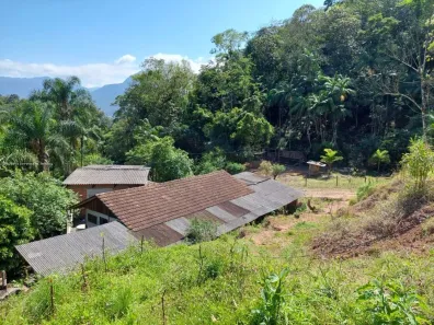 Fazenda/Sítio com 4 Quartos à venda, 70200m² no Seminário, Corupá