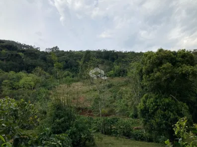 Fazenda/Sítio à venda, 27000m² no , Nova Petrópolis