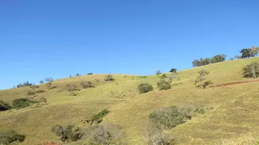 Lote/Terreno à venda, 20000m² no , Gonçalves