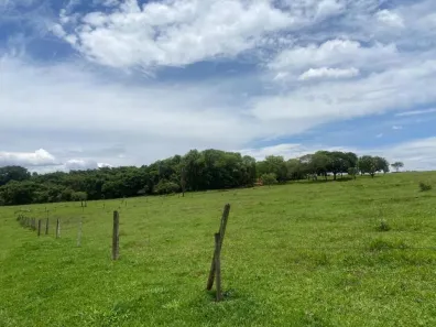 Fazenda/Sítio com 3 Quartos à venda, 856400m² no Vila Arquelau, Uberaba